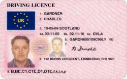 Drivers Face Fines for Expired Licences - Castle Driving School ...